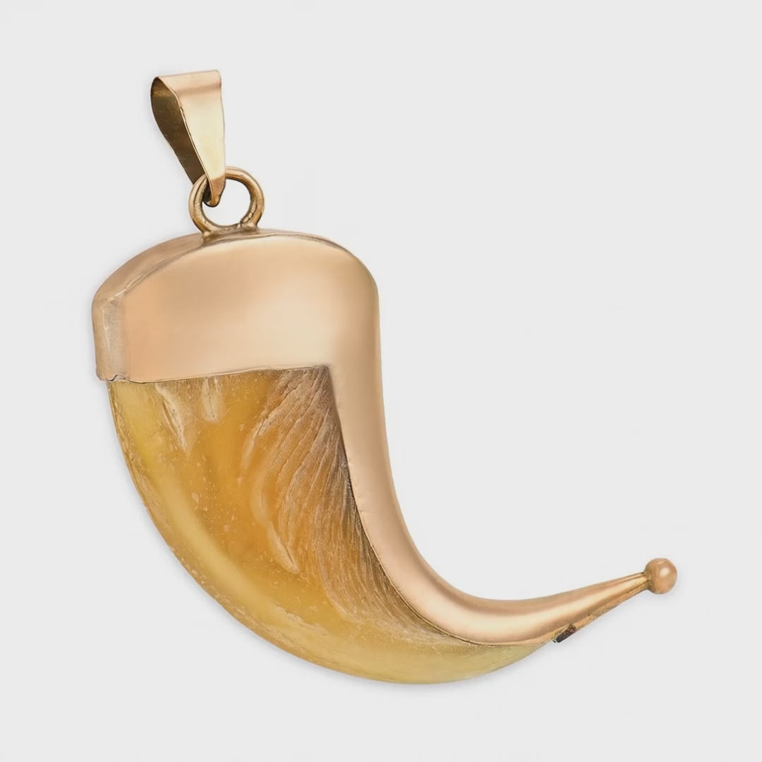 Load video: Victorian 9k Tiger Claw Pendant/Charm