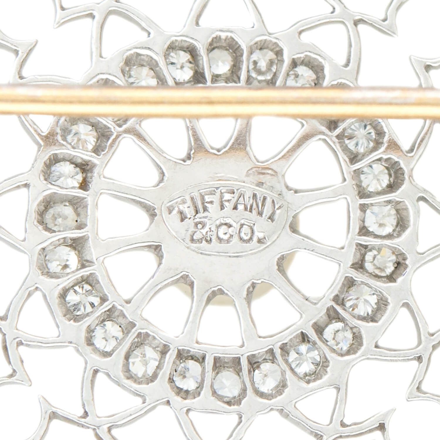 TIFFANY & CO. Edwardian Platinum, Diamond + Pearl Filigree Circle Pin